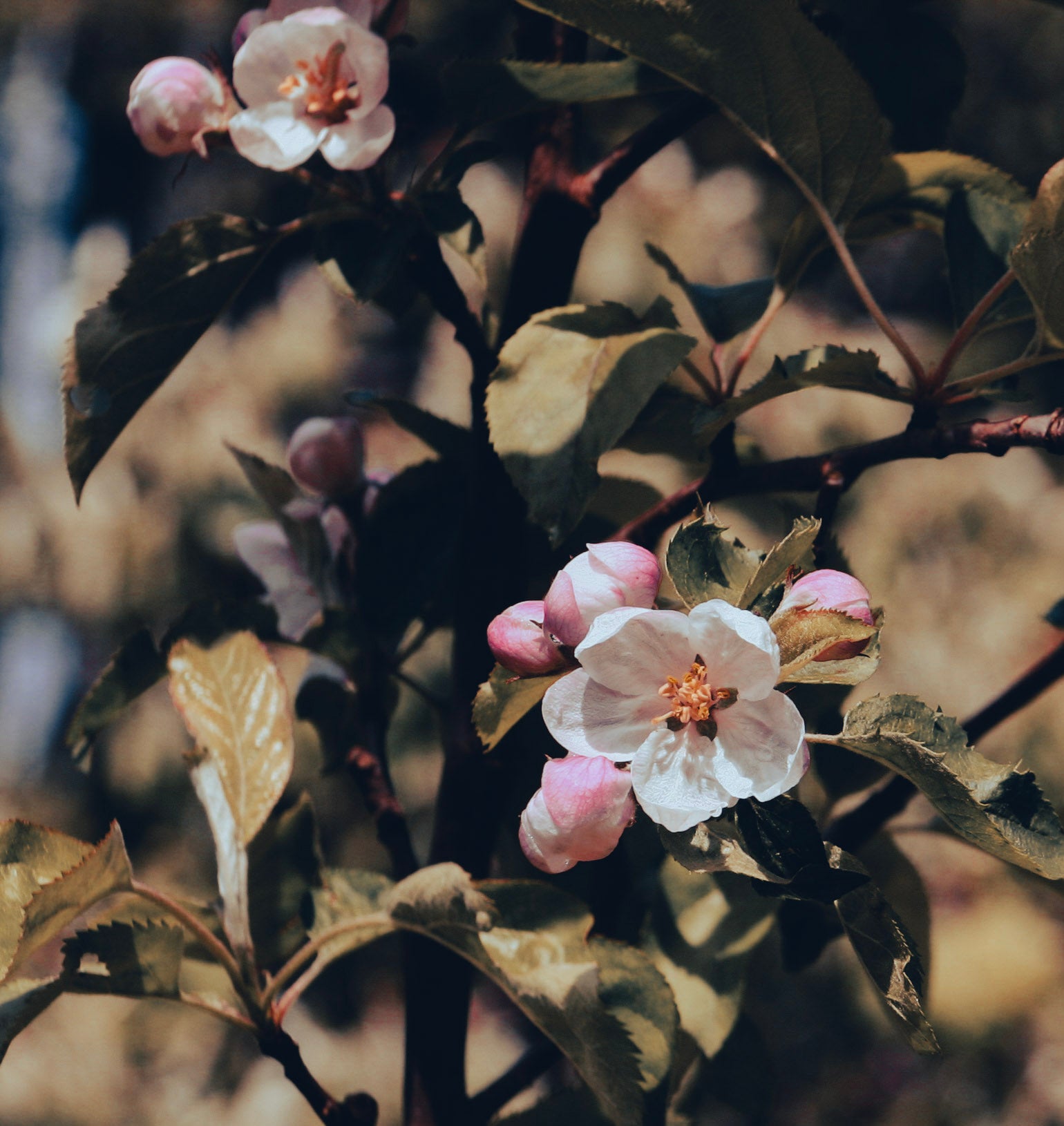 The sweet spot of Balance